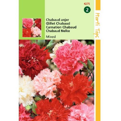 HT DIANTHUS, CHABAUD ANJER GEMENGD