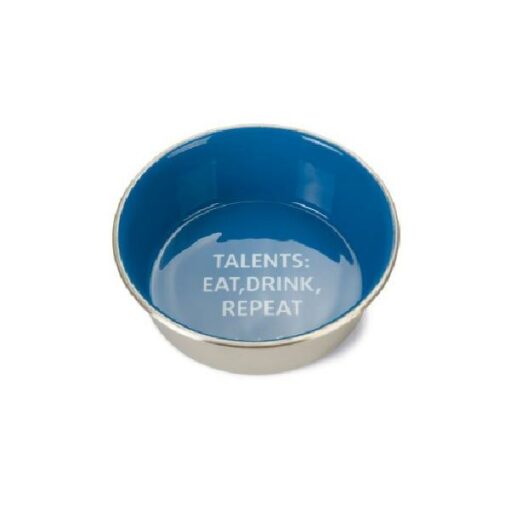 BZ RVS EETBAK TALENTS HOND BLW 16