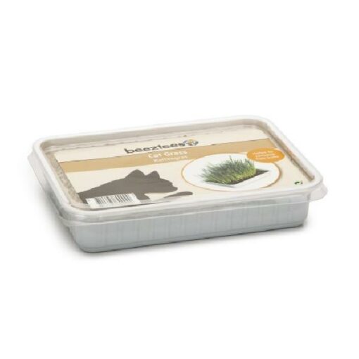 BZ KATTENGRAS IN PLASTIC BOX 130G