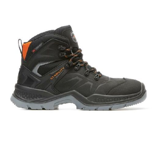 EVEREST S3 EXENA WS BRUIN ^41