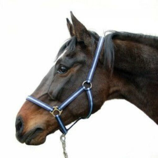HIPPO HALSTER BLAUW-3 - FULL