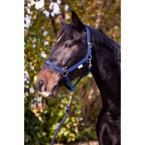 NYLON PAARDENHALSTER BLAUW 0/50 - SHETLAND