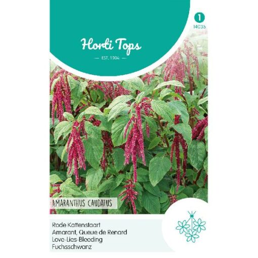 HT AMARANTHUS, RODE KATTENSTAART