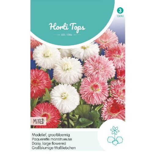 HT Bellis perennis madelief monstrosa dubbelbloemi