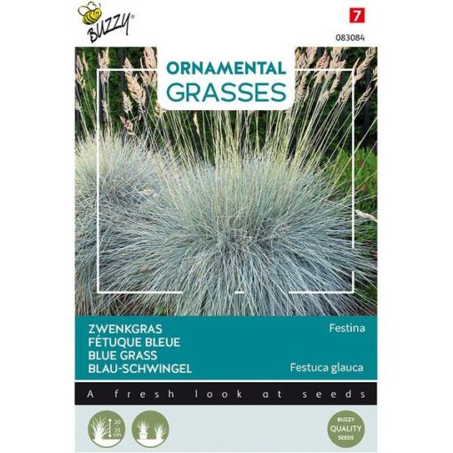 BUZZY® ORNAMENTAL GRASSES, FESTUCA GLAUCA 'BLAUE A