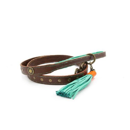 DWAM JOE LEATHER LEASH SMALL