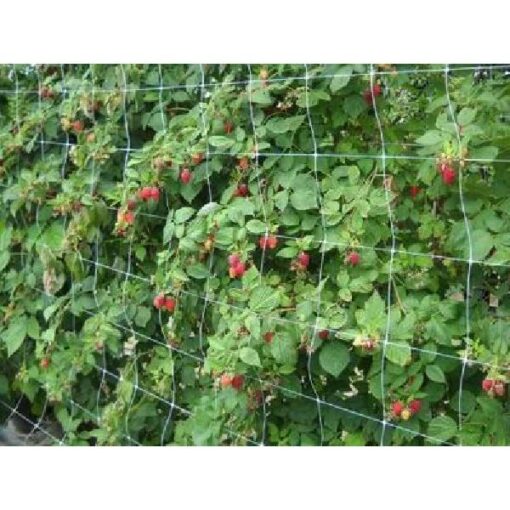 ERWTENGAAS PLASTIC 1,20 METER (PER METER)