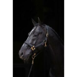 Topline halster zwart 1 Pony