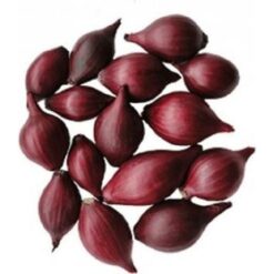WINTER PLANTUIEN RED ARROW 250G