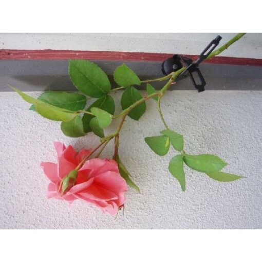 KLIMPLANTBAND 150CM 6040421