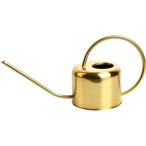 GIETER GOUD
