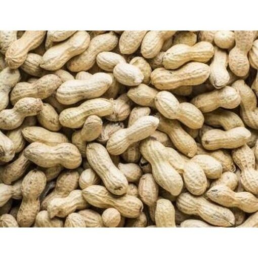GRONDNOTEN ONGEPELD 10 KG