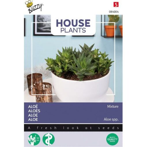 BUZZY® HOUSE PLANTS ALOE GEMENGDE SOORTEN