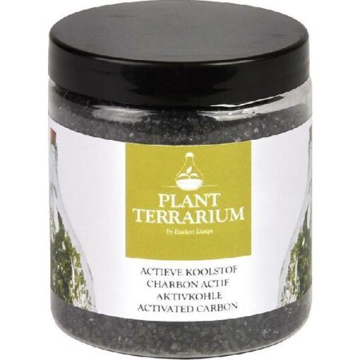 PLANT TERRARIUM ACTIEVE KOOLSTOF