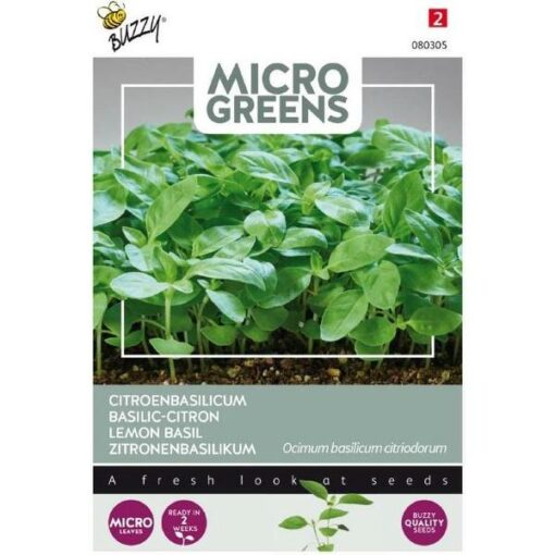 BUZZY® MICROGREENS CITROENBASILICUM