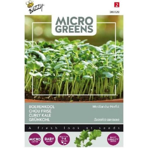 BUZZY® MICROGREENS BOERENKOOL