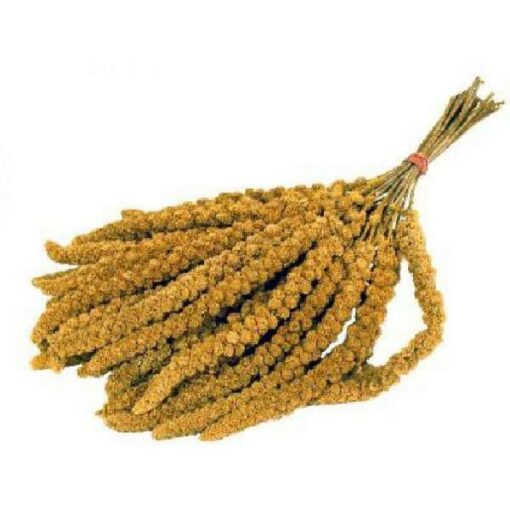 Trosgierst chinees doos 15 kg