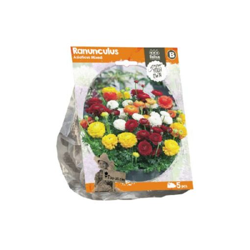 Ranunculus Asiaticus Mixed (Sp) per 5