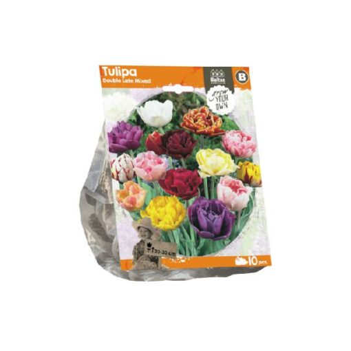 Tulipa Double Late Mixed (Sp) per 10