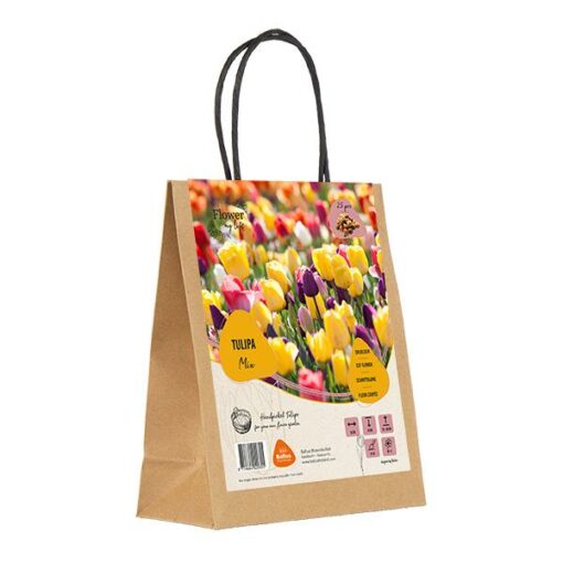 Giftbag Flower my life Cadeau - Tulipa