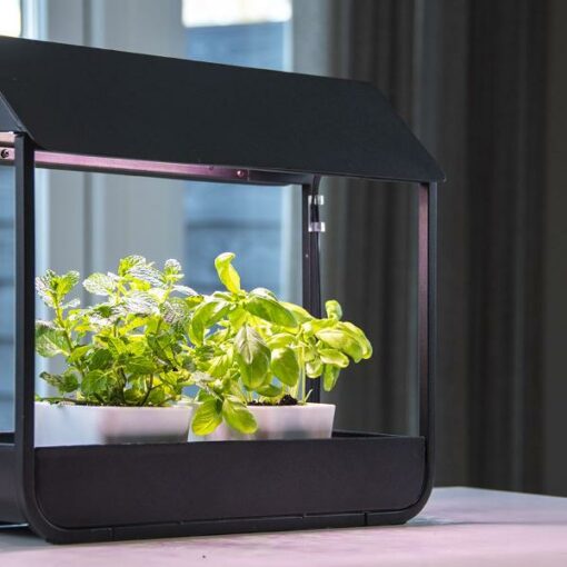 Planten groei lamp kweekkas zwart
