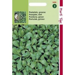 HT postelein groene