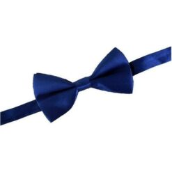 Vlinderstrik blauw