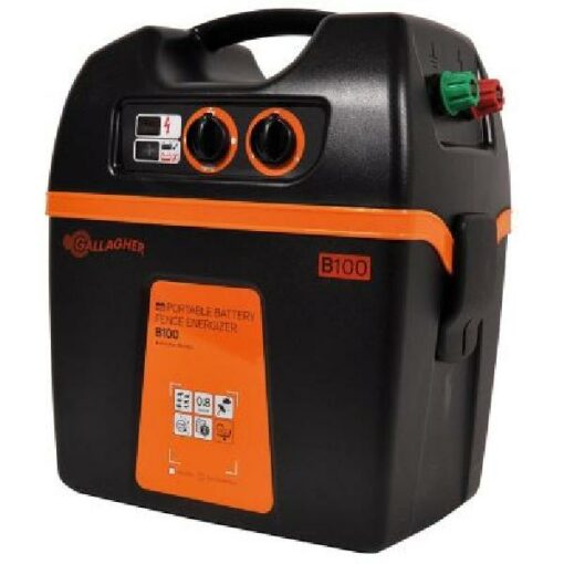 B100