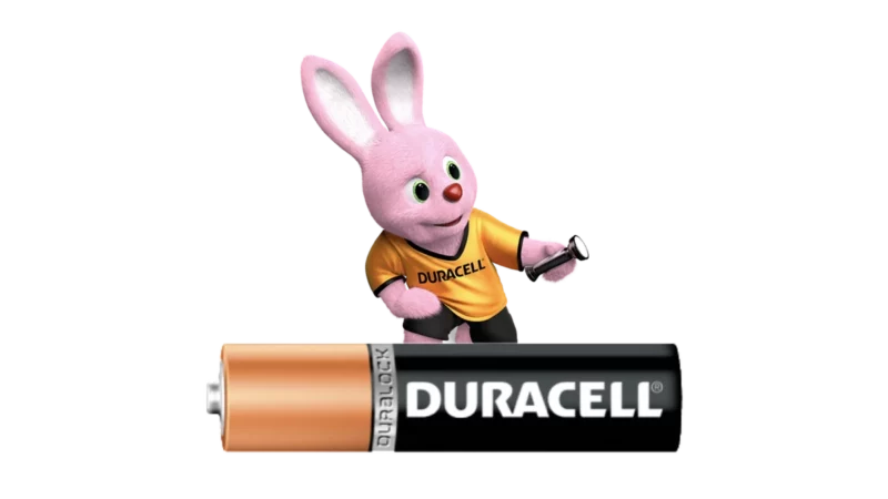 Van Lieshout Dier & Tuin