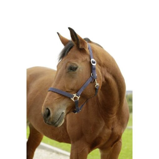HIPPO HALSTER MARINE- 00 - VEULEN/MINI SHETLAND