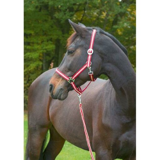 HIPPO HALSTER BORDEAUX/BEIGE-3 - FULL