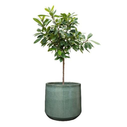 Pot Anouk ocean D28H24