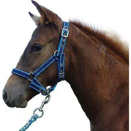 LUXE VEULENHALSTER 3X VERSTELBAAR, BLAUW