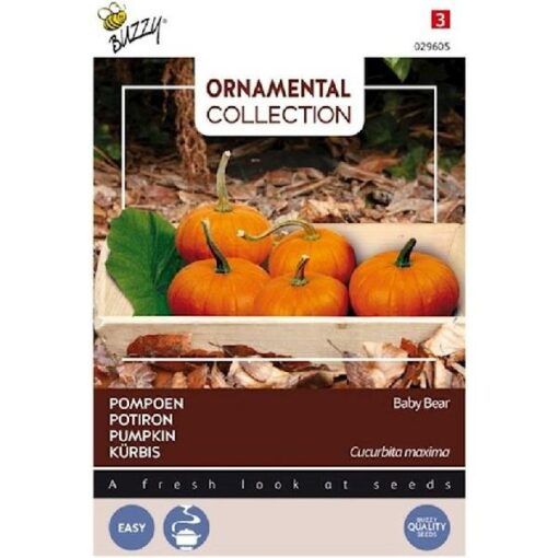 BUZZY® ORNAMENTAL WINTERSQUASH BABY BEAR
