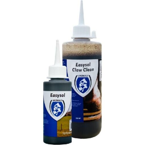 EASYSOL CLEAN LIQUID 100 ML