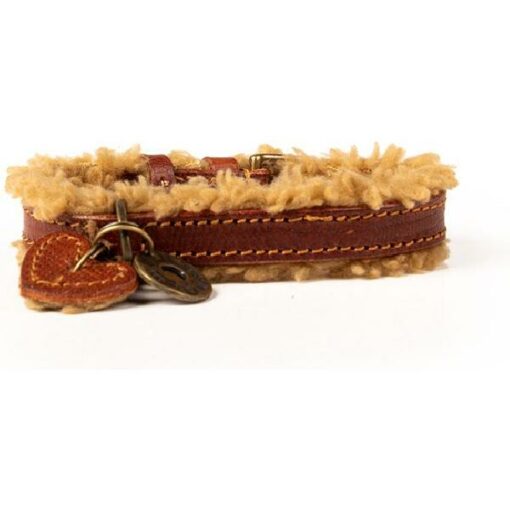 DWAM TEDDY HALSBAND 2,5 CM M