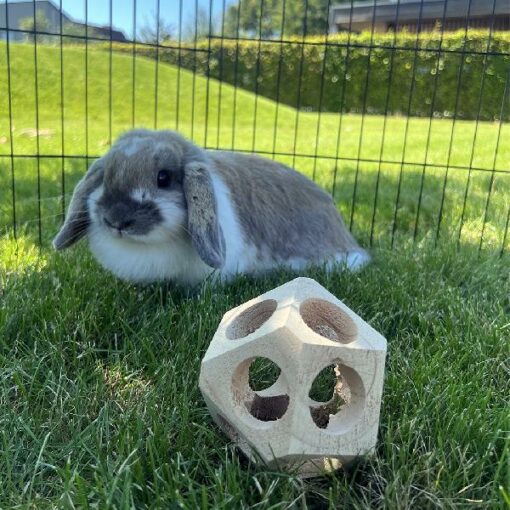 Houten speelbal  10x10x10cm