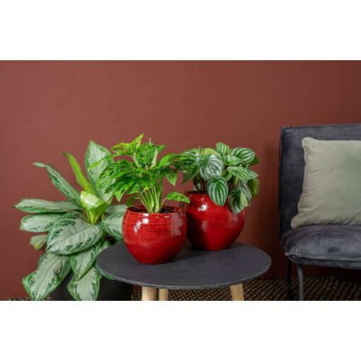 Pot Cresta deep red D19H28
