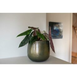 Pot Esra shiny green D22H20