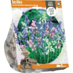 Scilla Hispanica Mixed (Sp) per 5