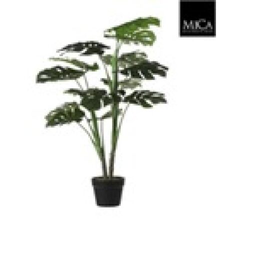 Monstera in pot groen - H100xD70cm