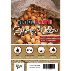 WINTER PLANTUIEN SENSHYU YELLOW 250G