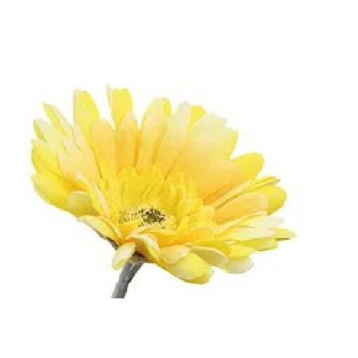 Gerbera Yellow 56cm zijden prijs per stuk