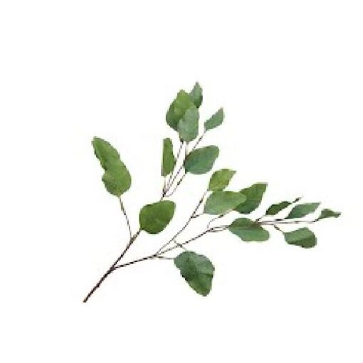 Eucalyptus Populus green Silk 95cm prijs per stuk