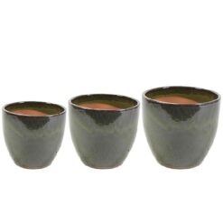 Pot Rico green D22H20