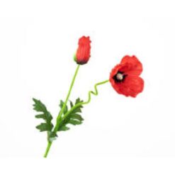 Papaver red zijde, per stuk