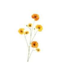 Zinnia geel zijde, per stuk