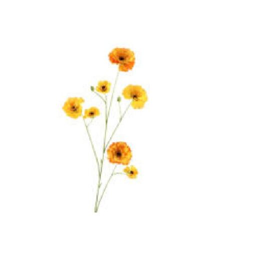 Zinnia geel zijde, per stuk