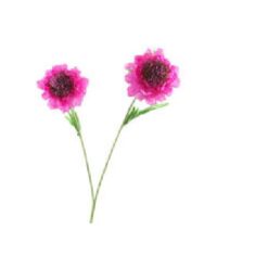 Scabiosa fuchsia zijde, per stuk