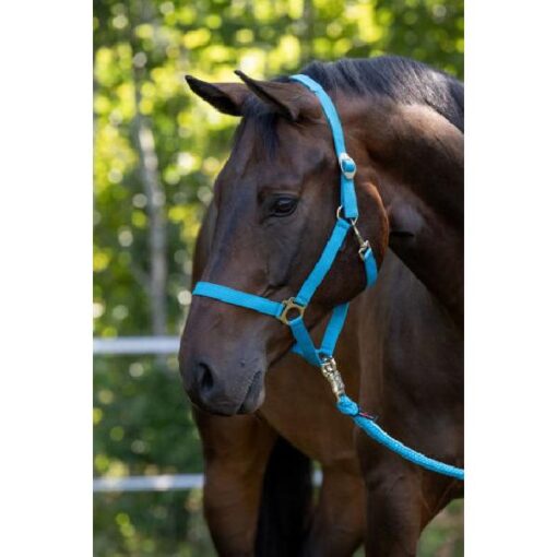 Hippo halster Blauw - 1 - Pony